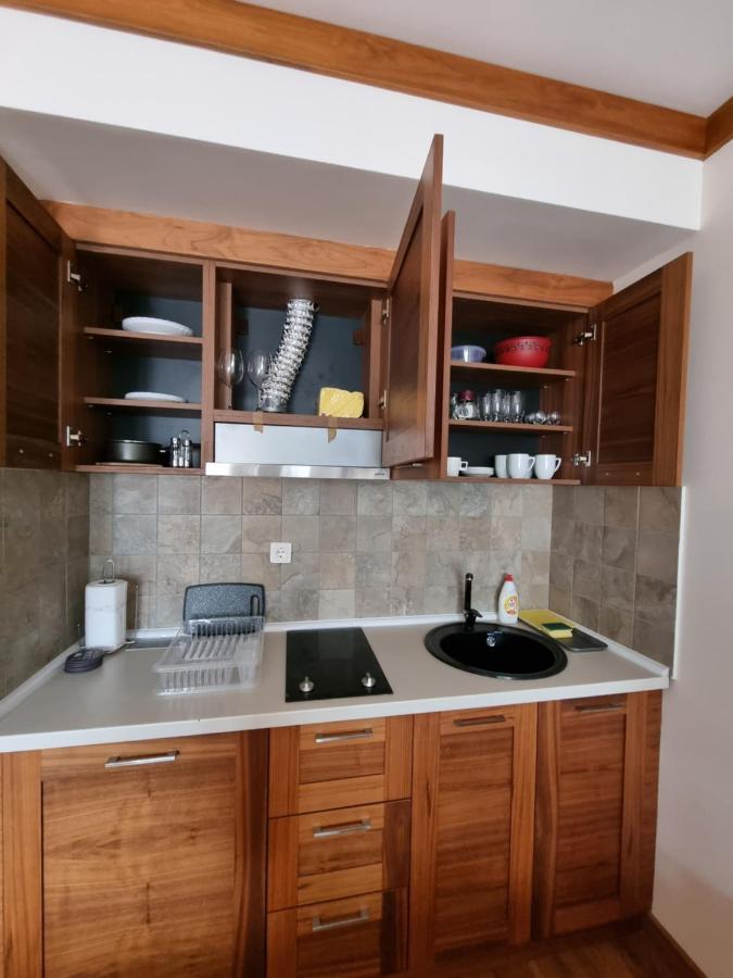 Apartman S-Lux Privatni App Vuckoo ヤホリナ エクステリア 写真